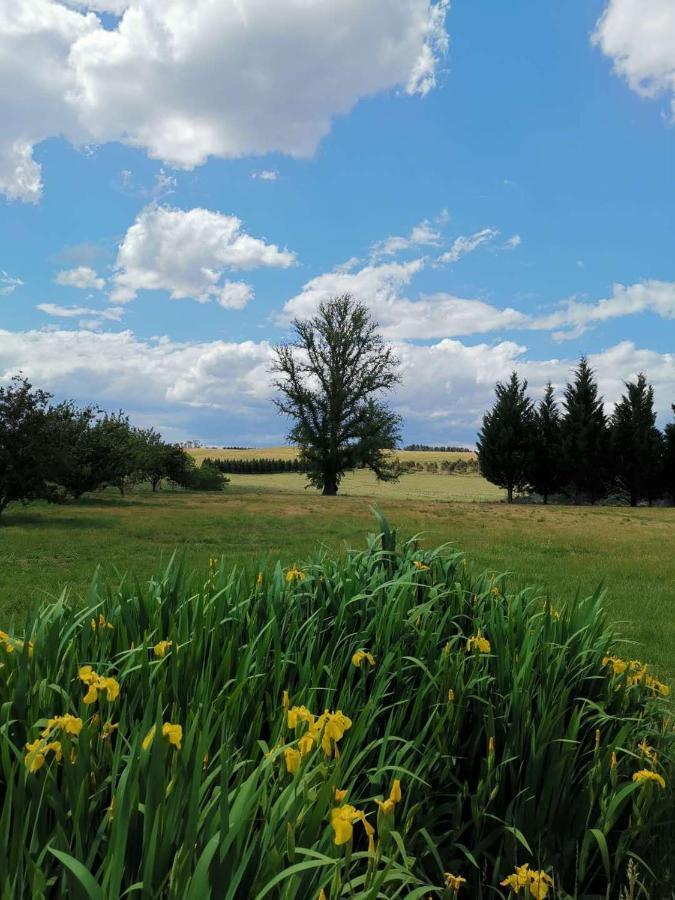 Eling Forest Winery Sutton Forest Buitenkant foto